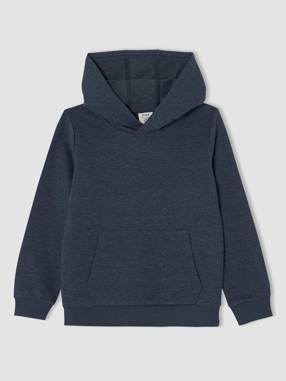

DeFacto Boys Navy Blue Solid Hooded Sweatshirt