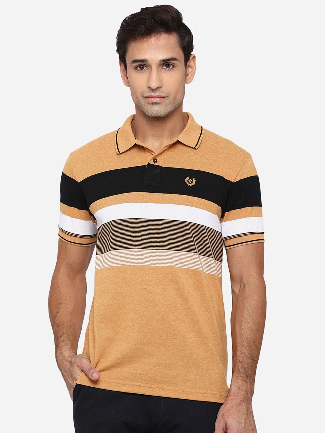 

Greenfibre Men Beige & Black Striped Polo Collar Slim Fit T-shirt