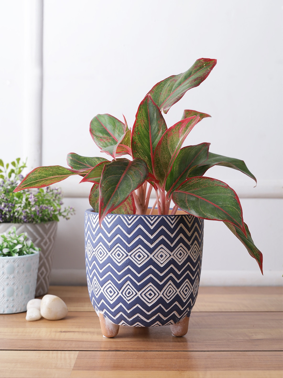

TAYHAA Blue & White Zig Zag Design Textured Ceramic Planter