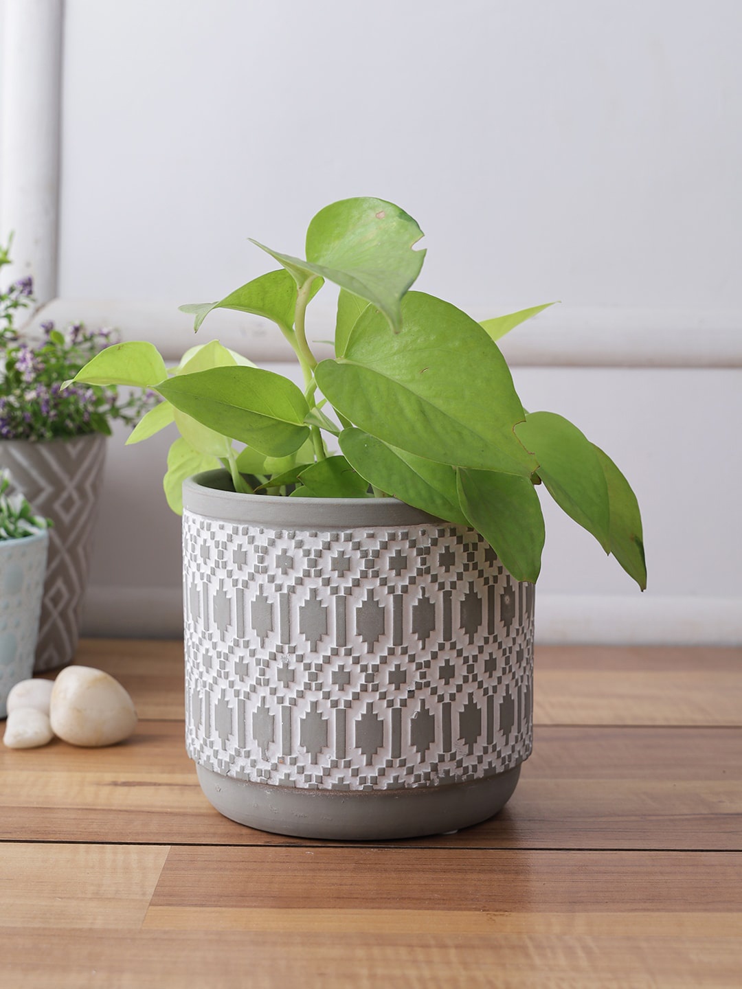 

TAYHAA Grey & White Printed Ceramic Planter