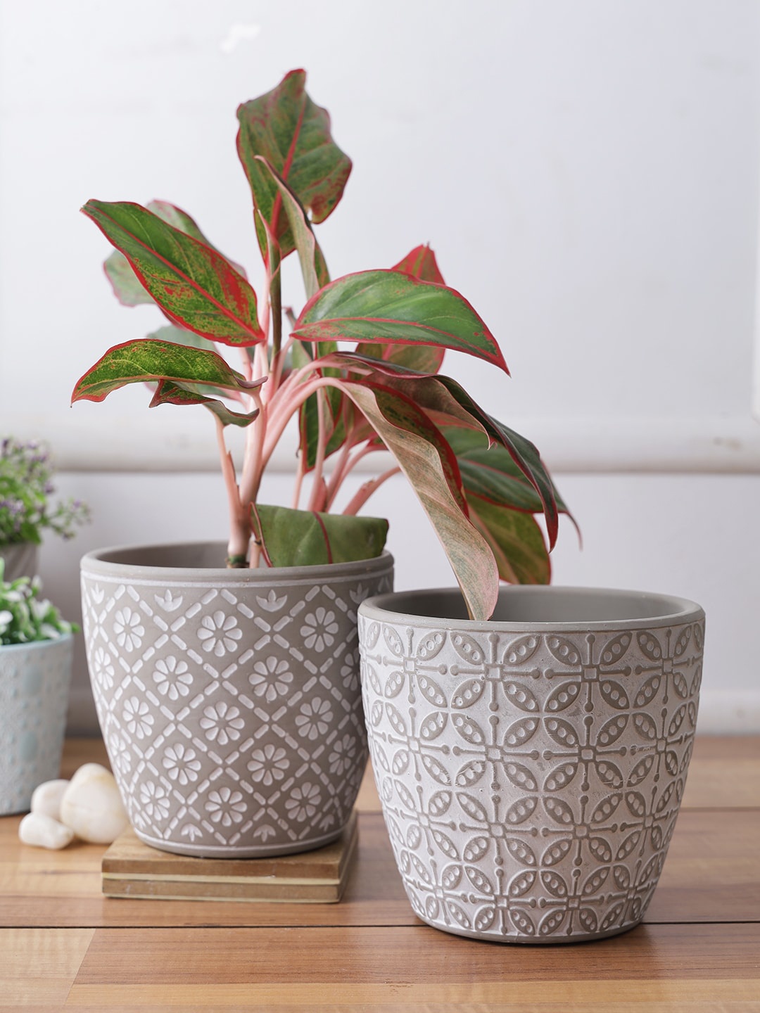 

TAYHAA Set Of 2 Grey & White Floral Textured Ceramic Planters