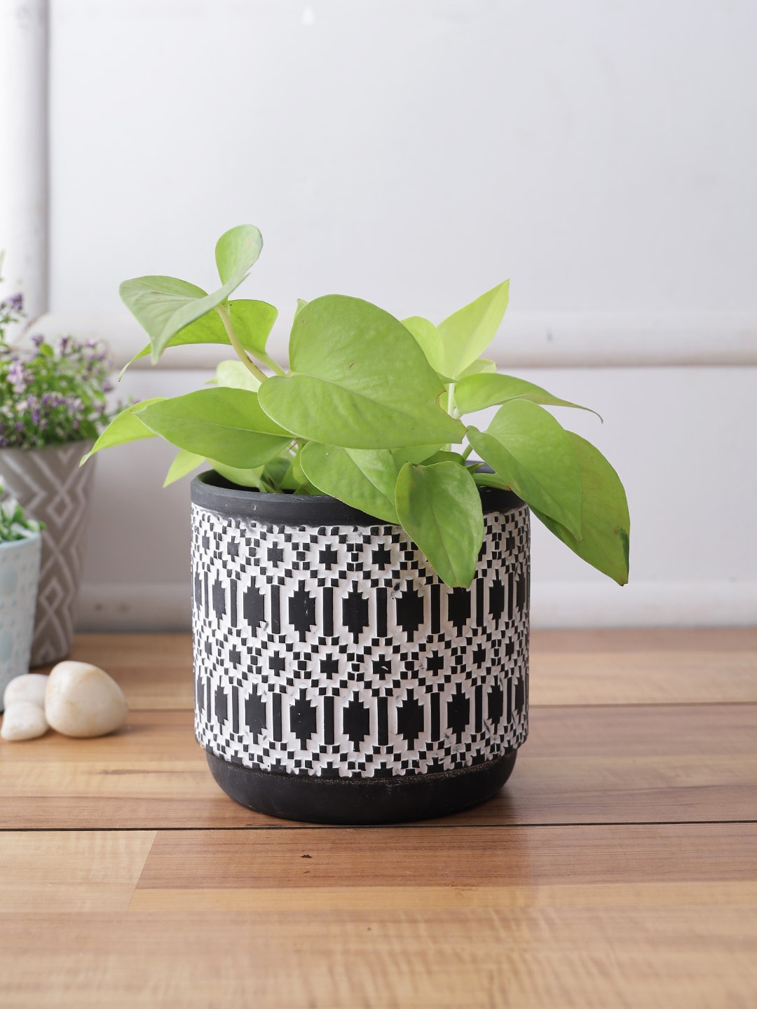 

TAYHAA Black & White Textured Ceramic Planter