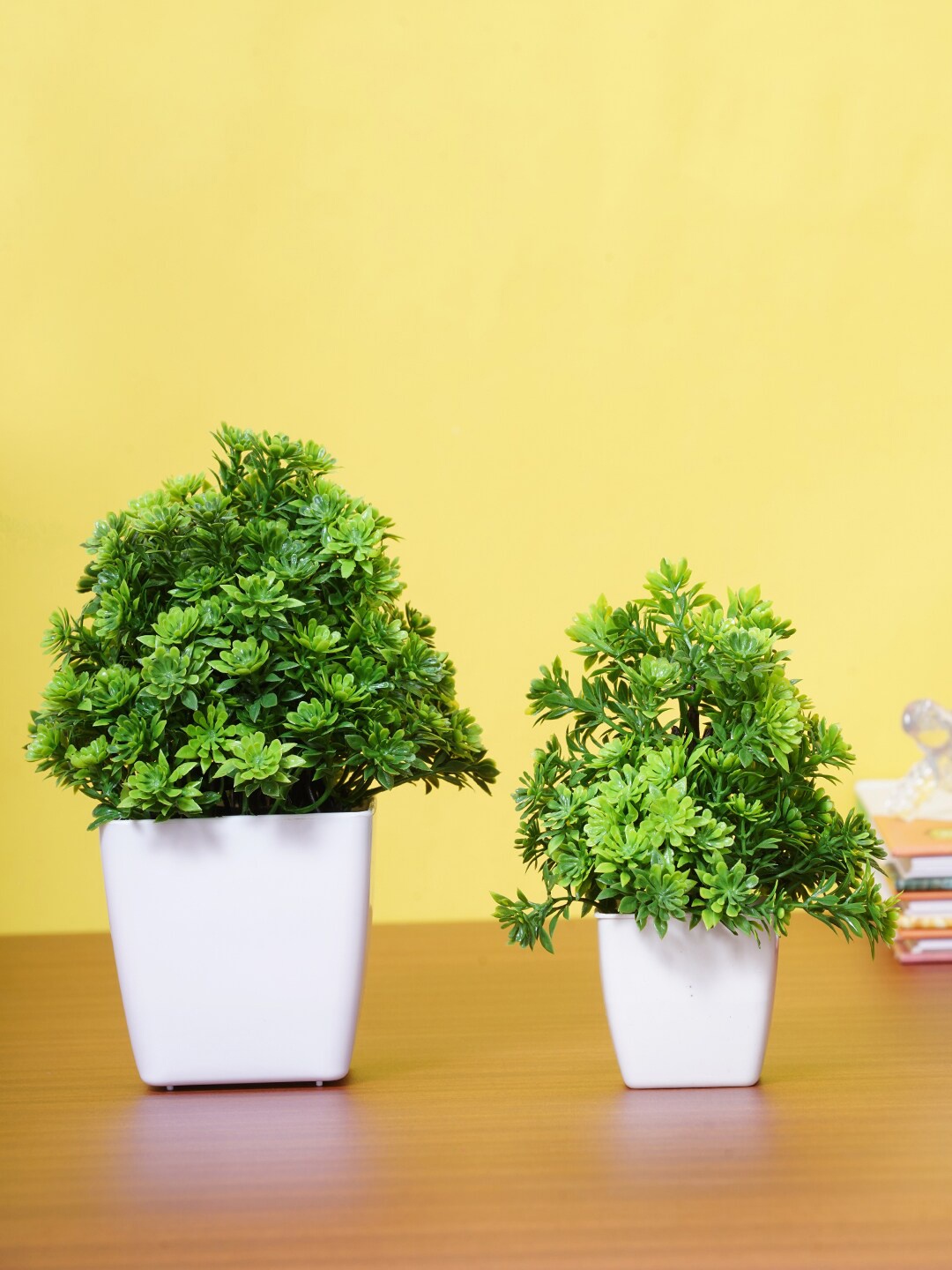 

Dekorly Set Of 2 Green & White Decorative Bonsai Plant With Pot
