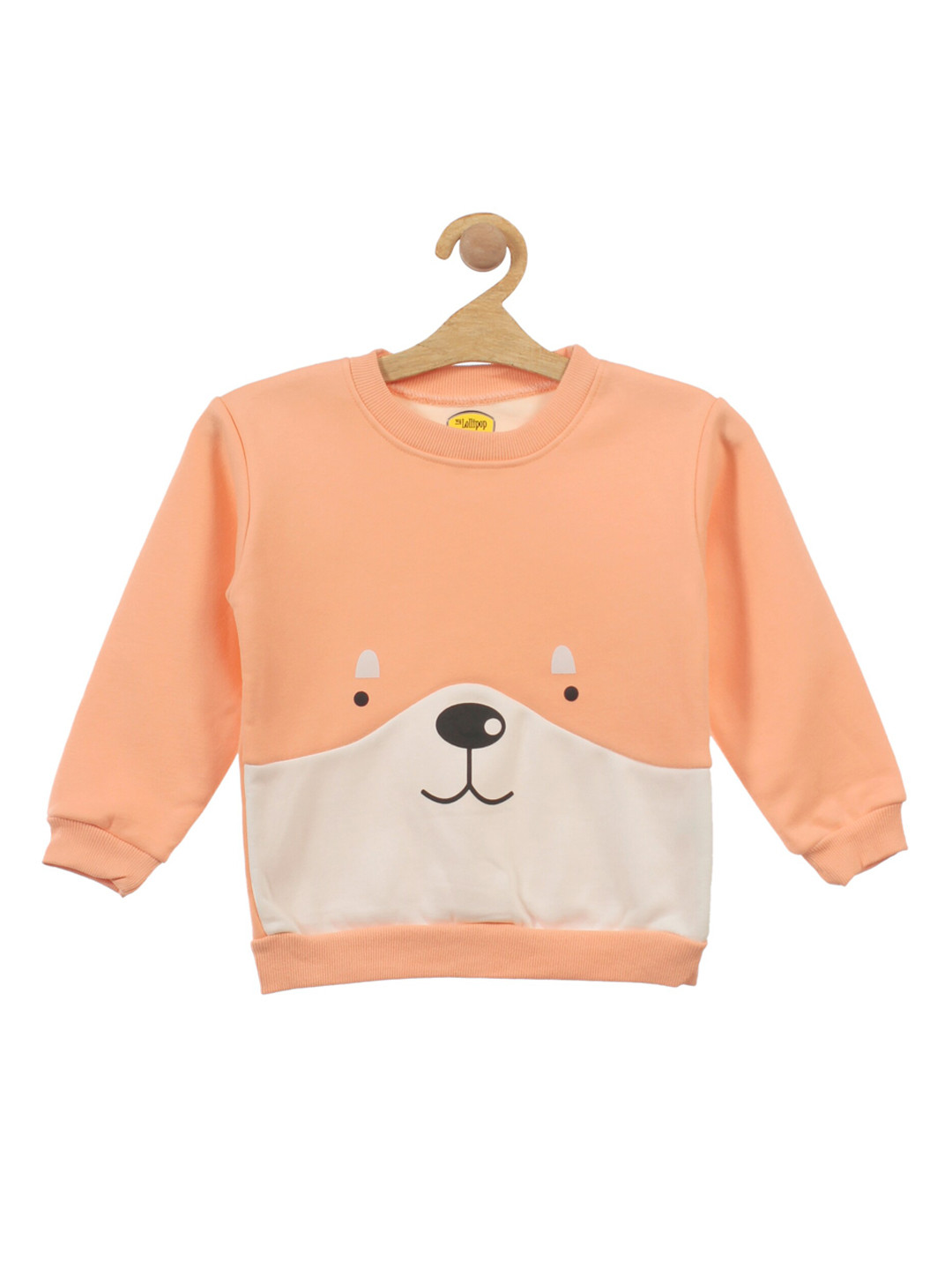 

Lil Lollipop Unisex Kids Orange Colourblocked Fleece Sweatshirt
