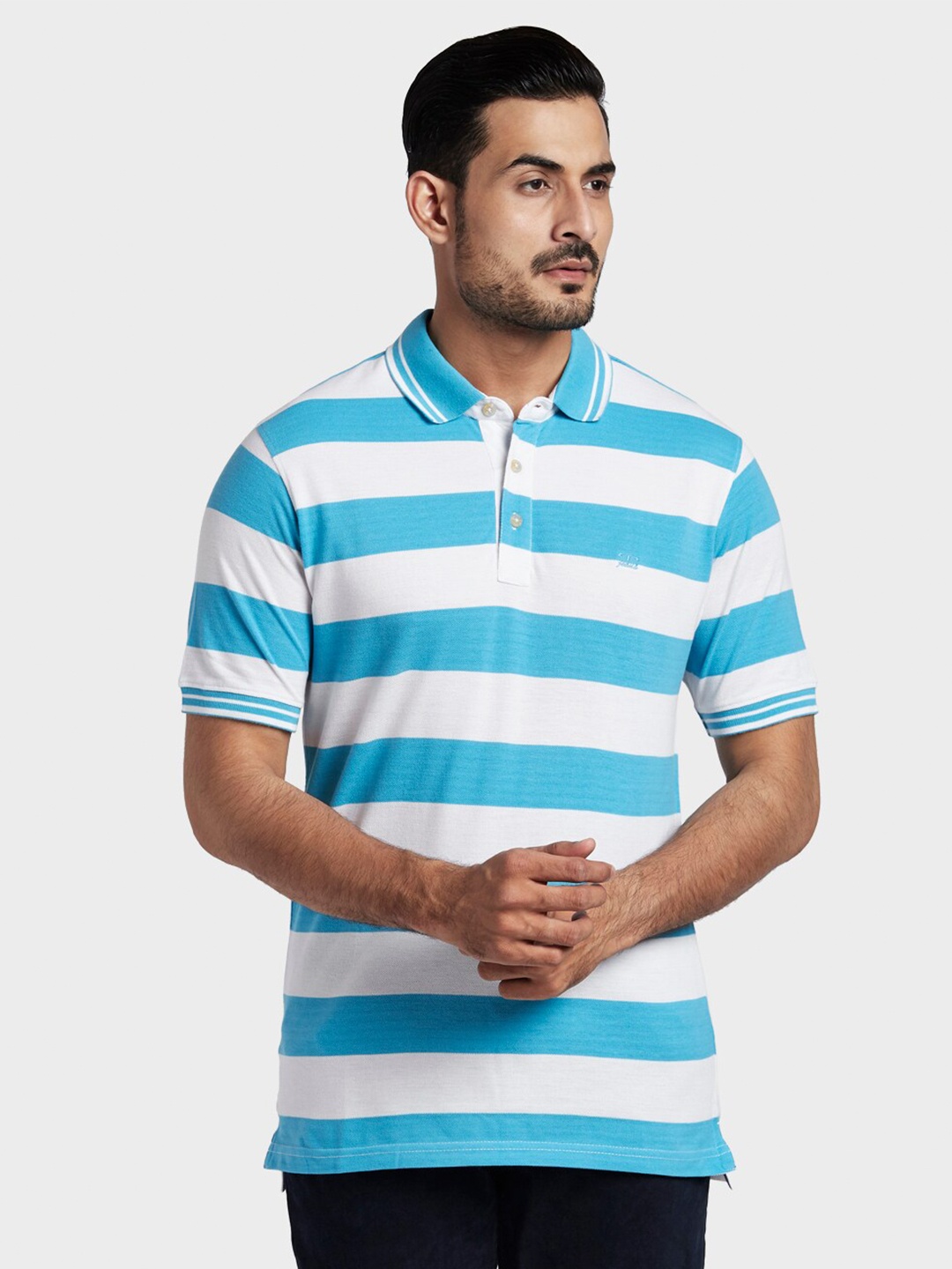 

ColorPlus Men Blue & White Striped Polo Collar T-shirt