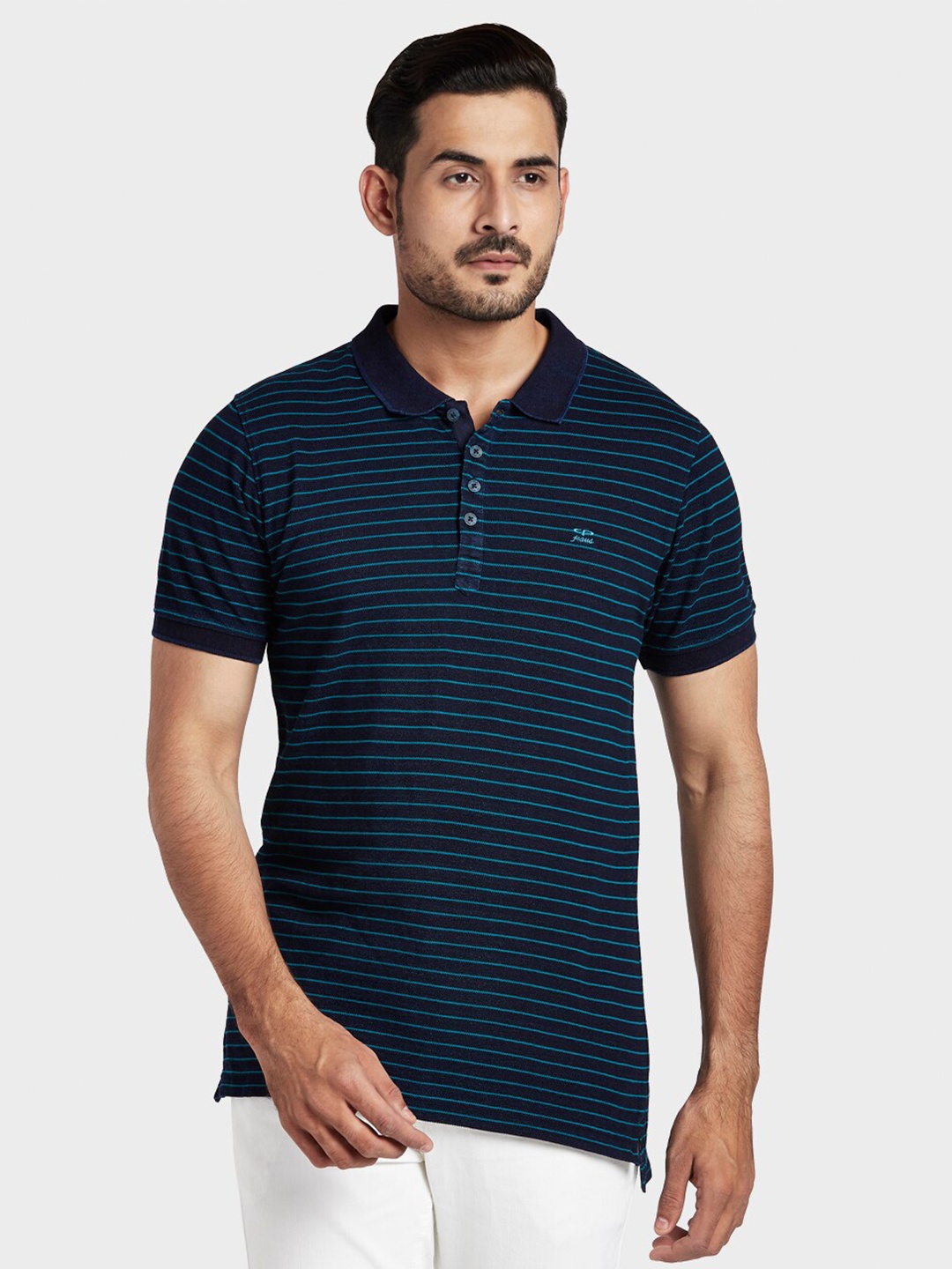 

ColorPlus Men Plus Size Navy Blue Striped Polo Collar T-shirt