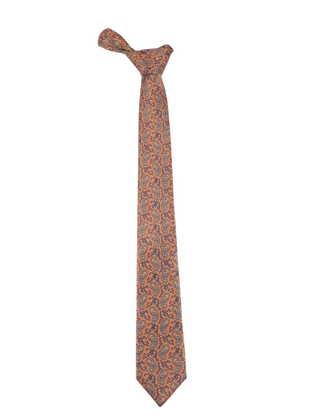 

Alvaro Castagnino Men Orange & Blue Printed Broad Tie