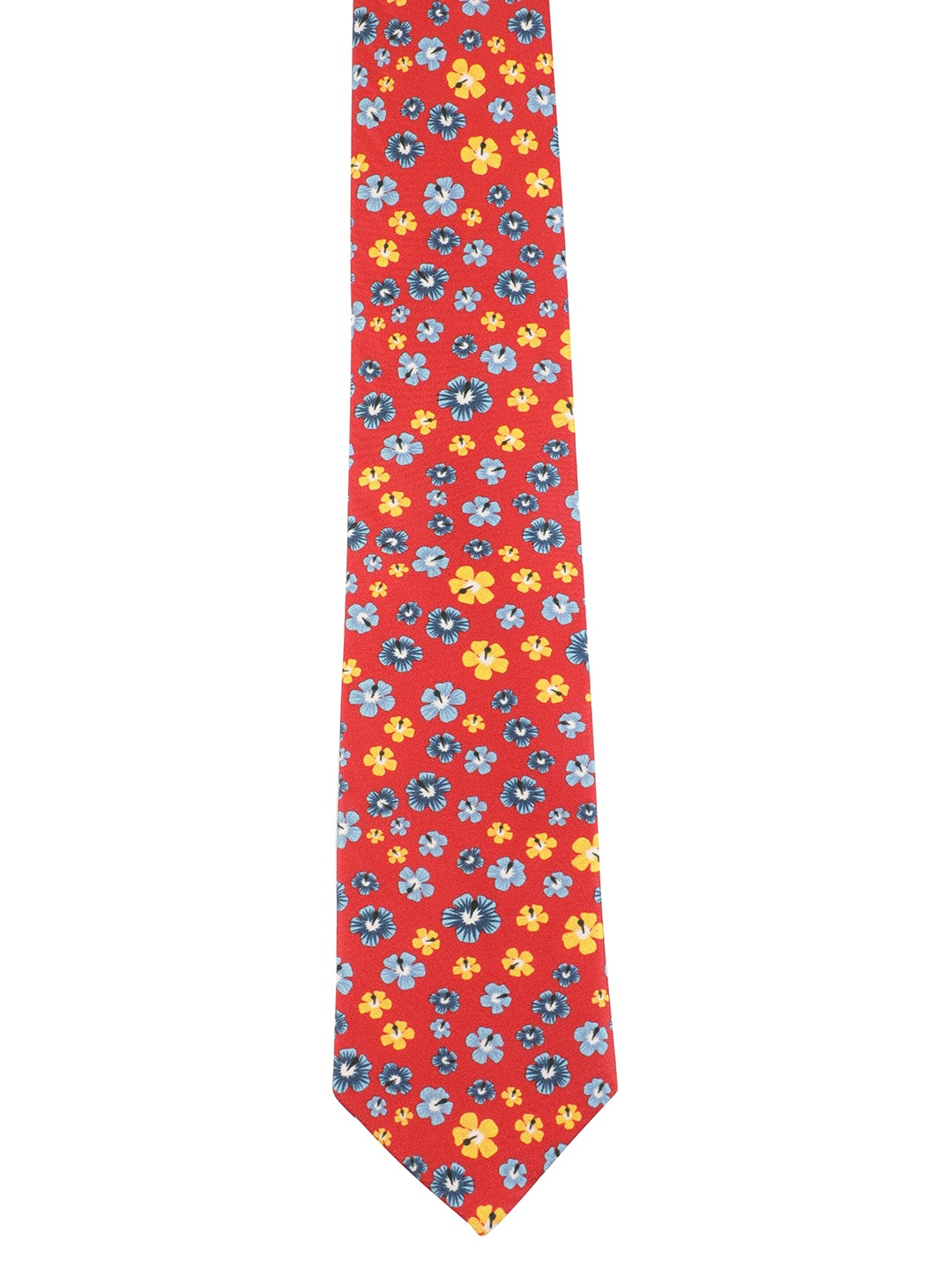 

Alvaro Castagnino Men Red & Blue Printed Skinny Tie
