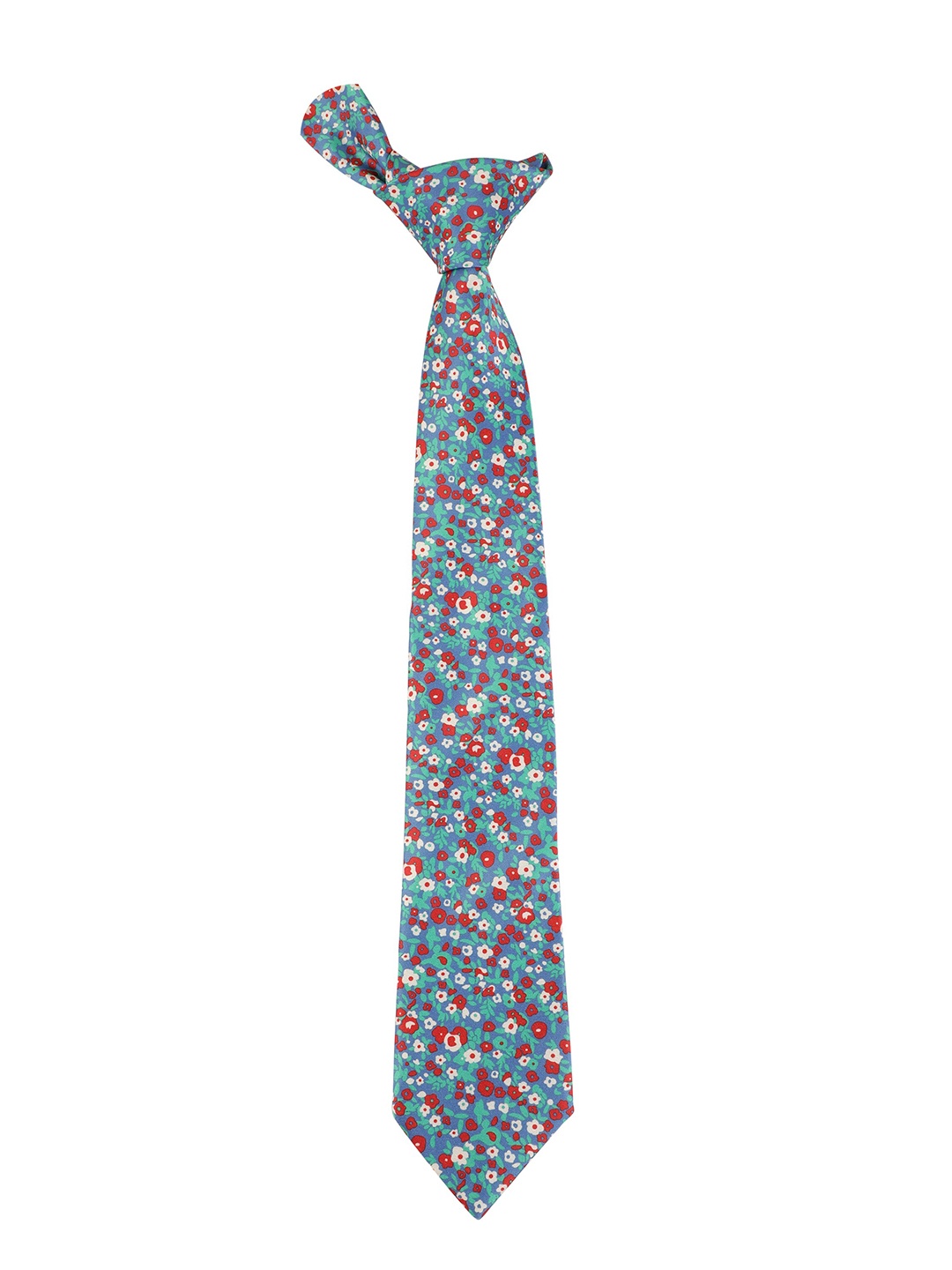 

Alvaro Castagnino Men Blue & Red Floral Printed Skinny Tie
