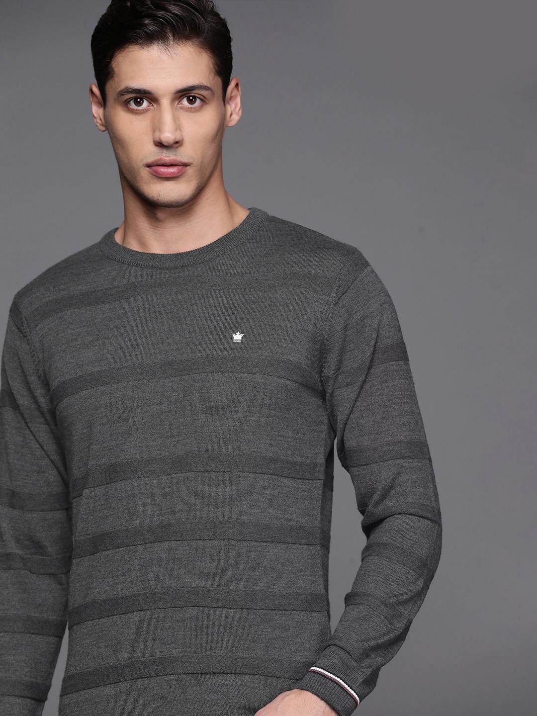 

Louis Philippe Men Charcoal Grey Striped Pullover