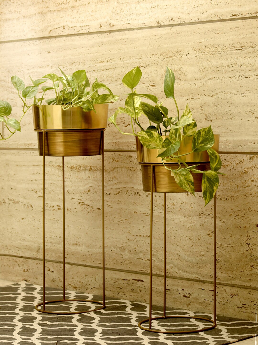 

green girgit Set of 2 Gold Toned Planters