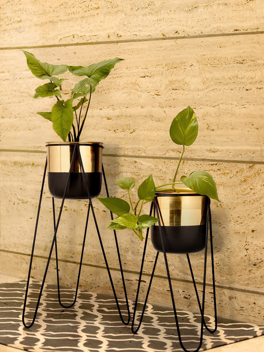 

green girgit Set Of 2 Black & Gold-Toned Colourblocked Planter Stand