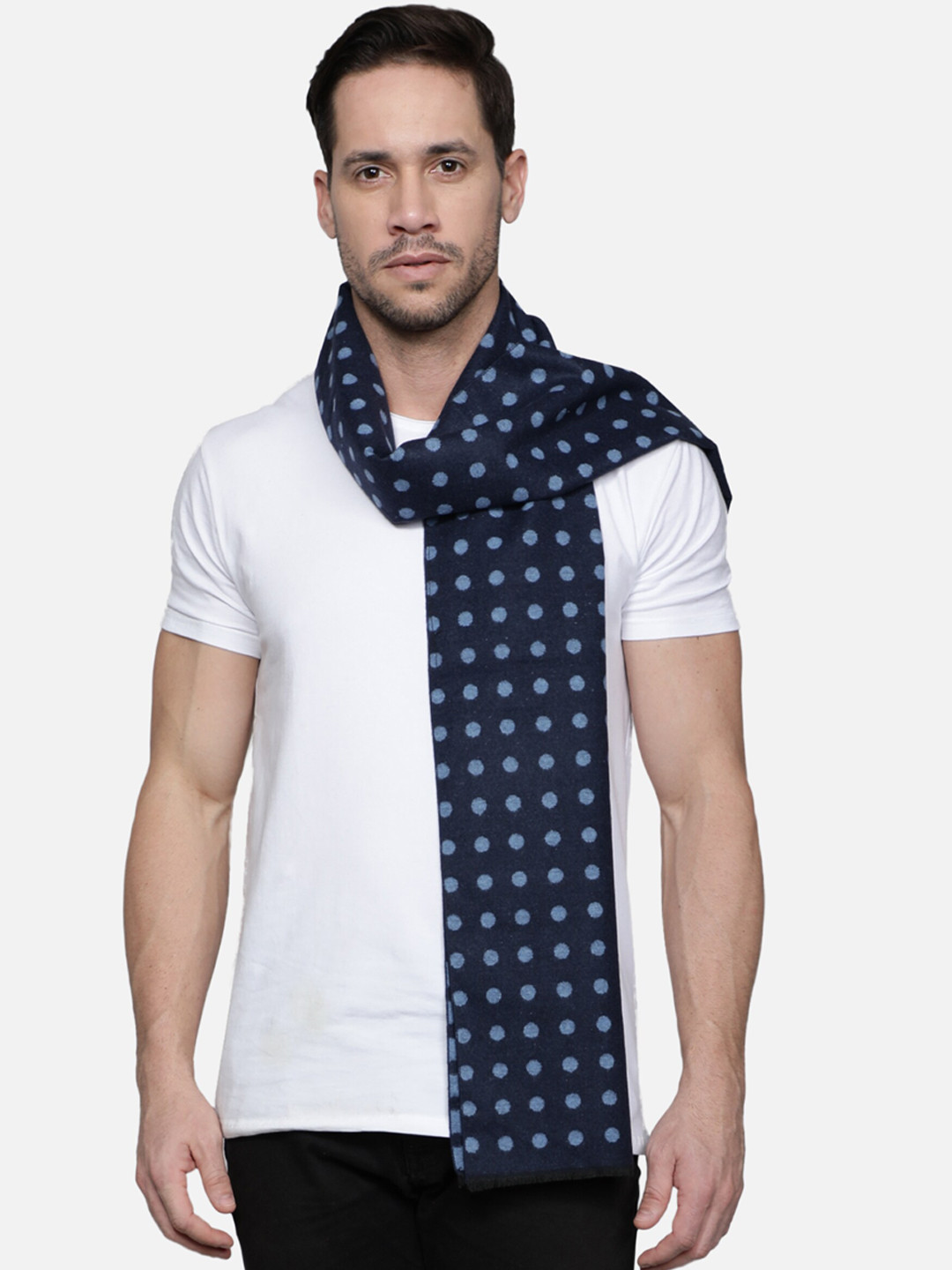 

Alvaro Castagnino Men Blue Printed Muffler