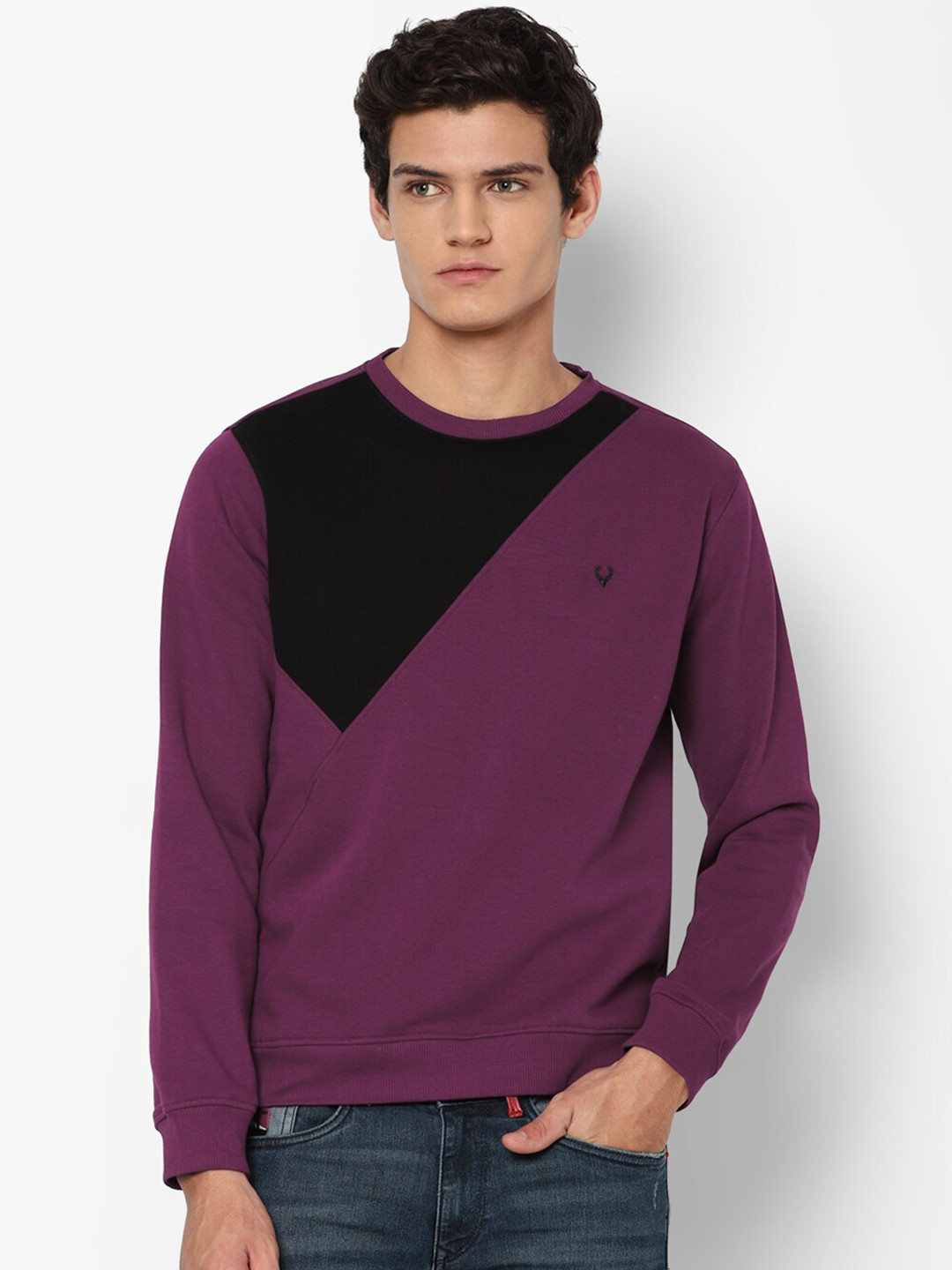 

Allen Solly Men Purple & Black Colourblocked Sweatshirt