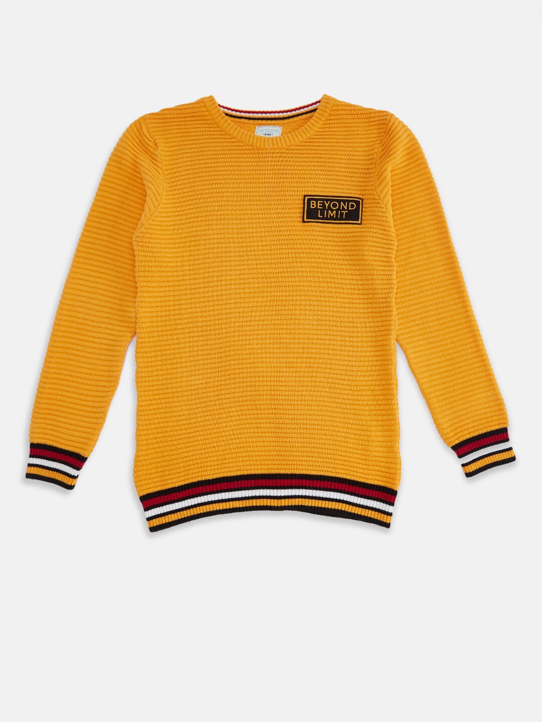 

Pantaloons Junior Boys Yellow Printed Acrylic Pullover