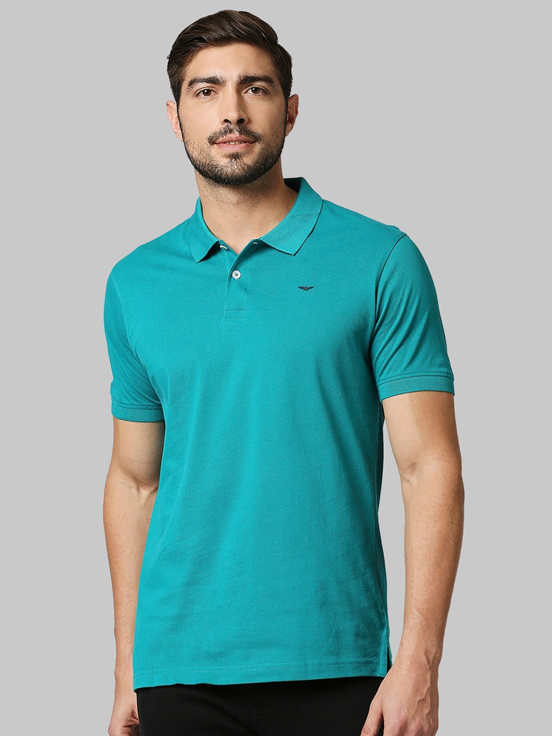 

Park Avenue Men Green Polo Collar Slim Fit Cotton T-shirt