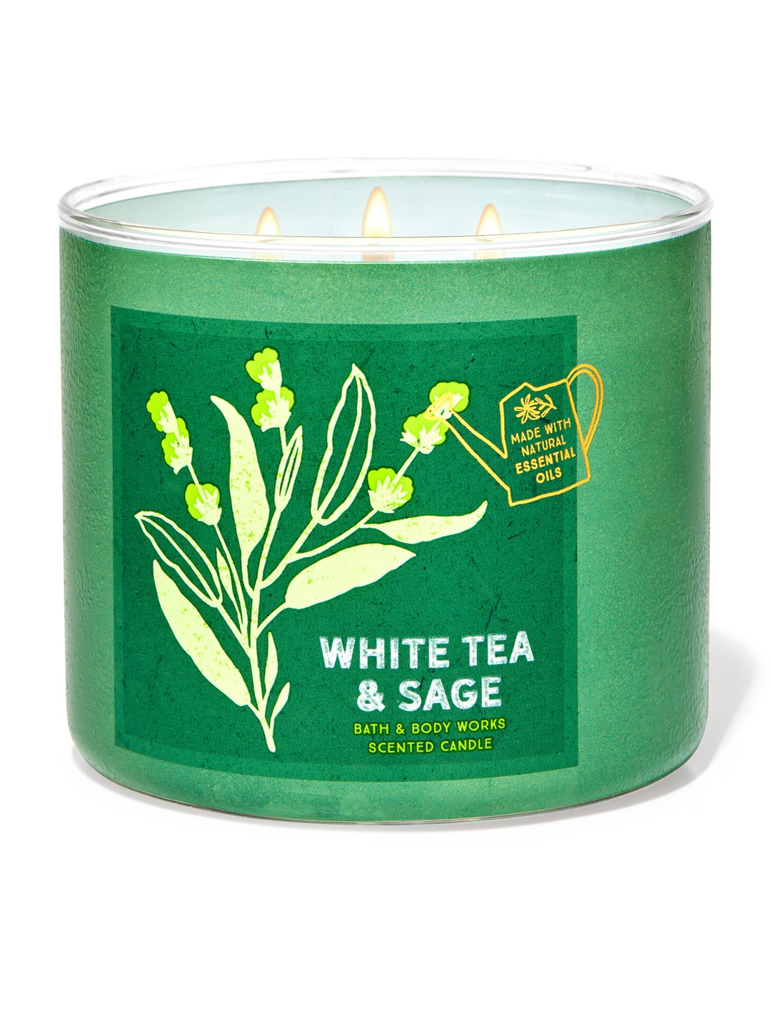 

Bath & Body Works White Tea & Sage 3-Wick Scented Candle 411g, Green