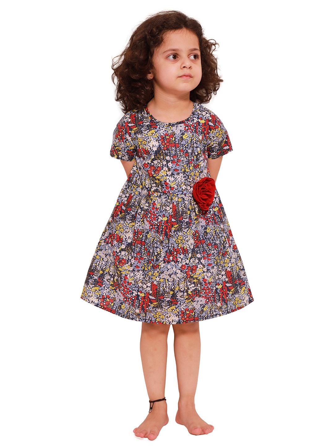 

YK Girls Blue & Red Floral Applique Dress
