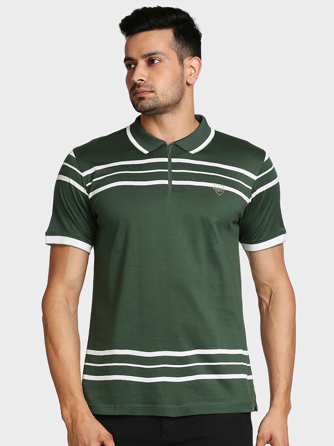 ColorPlus Men Olive Green Striped Polo Collar T-shirt