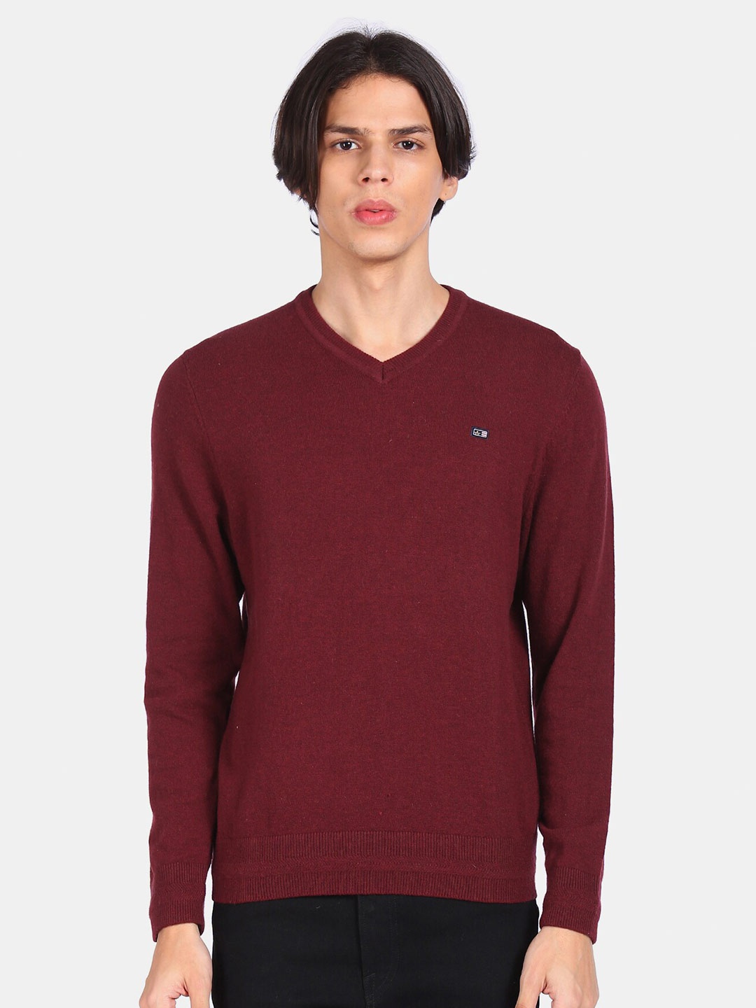 

Arrow Sport Men Red V-Neck Solid Pullover
