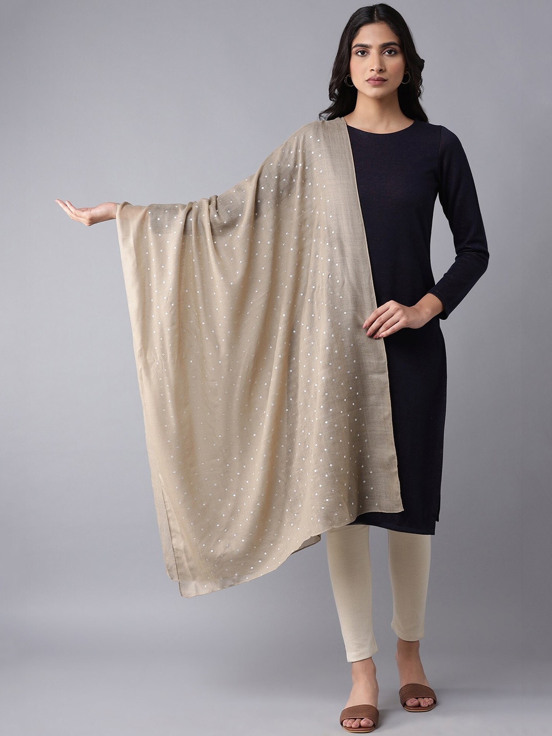 

W Women Beige Embroidered Shawl