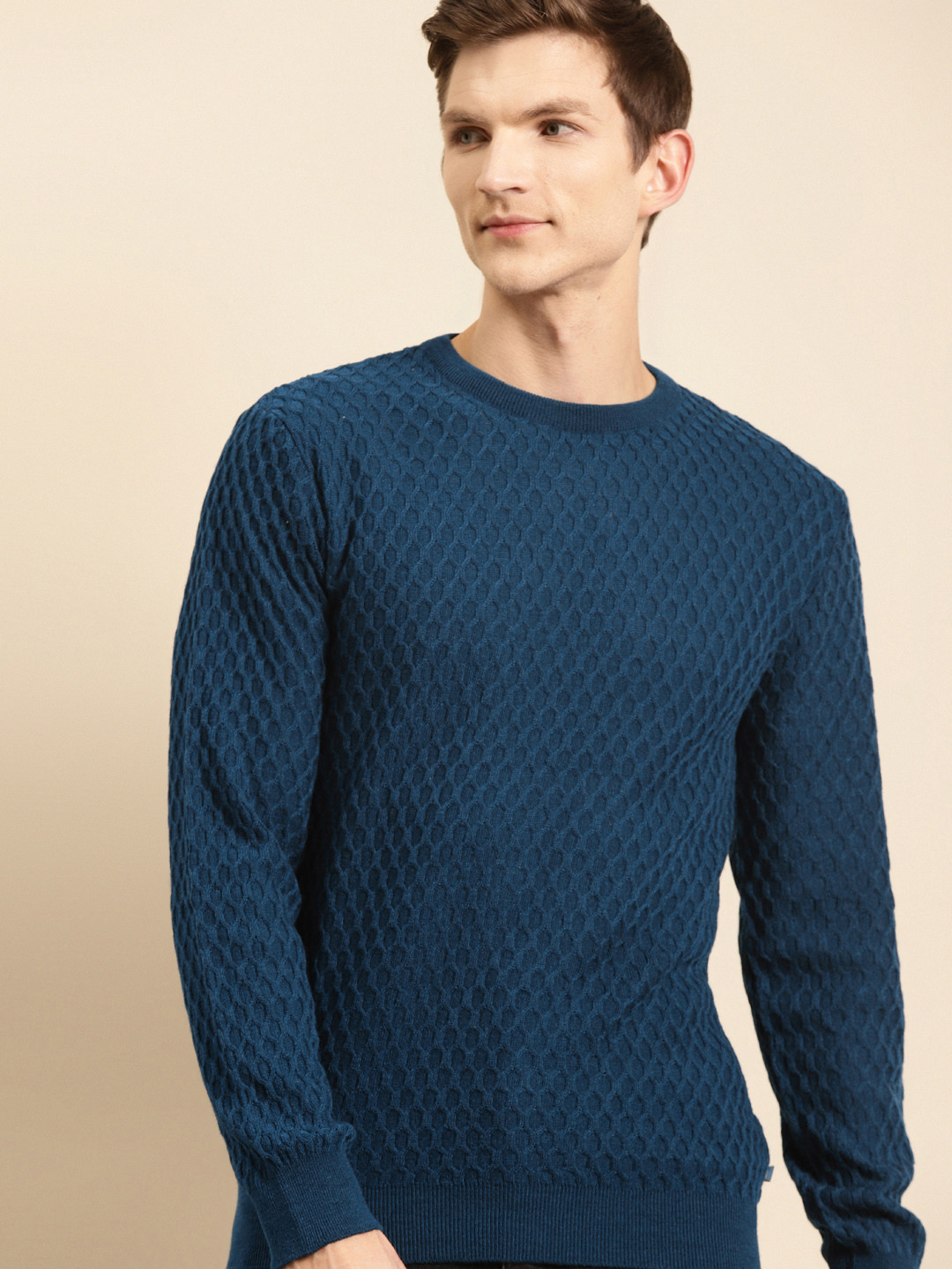 

United Colors of Benetton Men Teal Blue Honeycomb Patterned Pullover