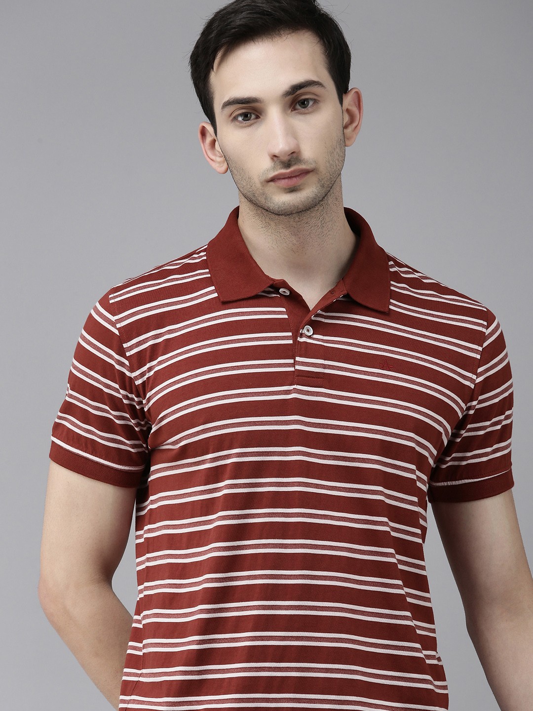 

Arrow Sport Men Maroon & White Striped Polo Collar T-shirt