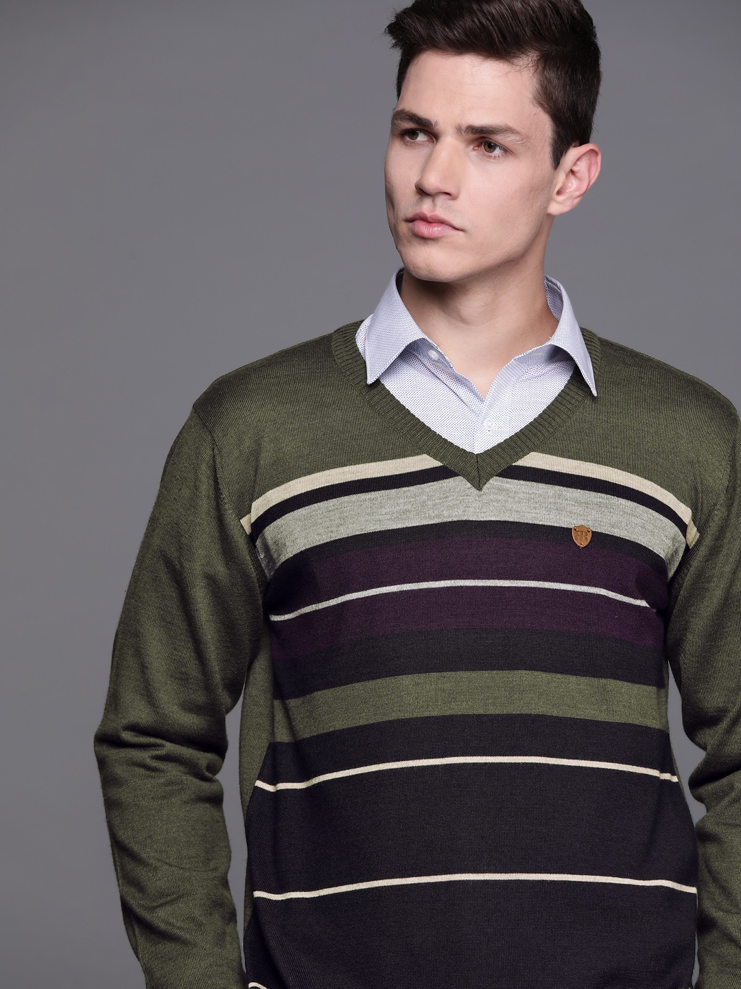 

Raymond Men Olive Green & Navy Blue Striped Pullover