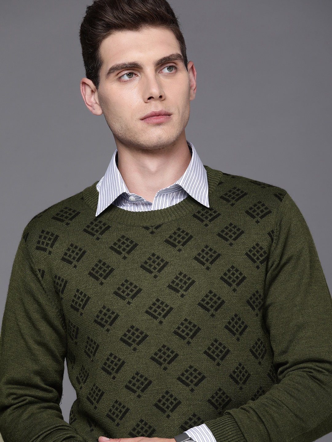 

Raymond Men Olive Green Printed Pullover Sweater