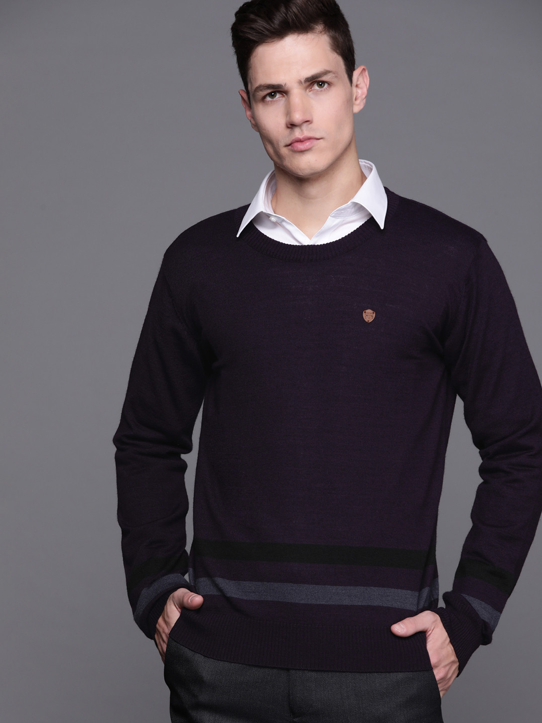 

Raymond Men Purple & Black Striped Pullover