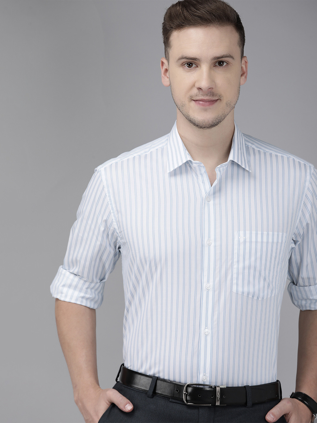 

Arrow Men Blue Vertical Striped Formal Shirt