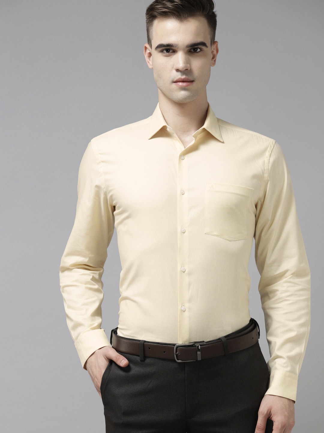 

Arrow Men Yellow Pure Cotton Self Design Classic Formal Shirt