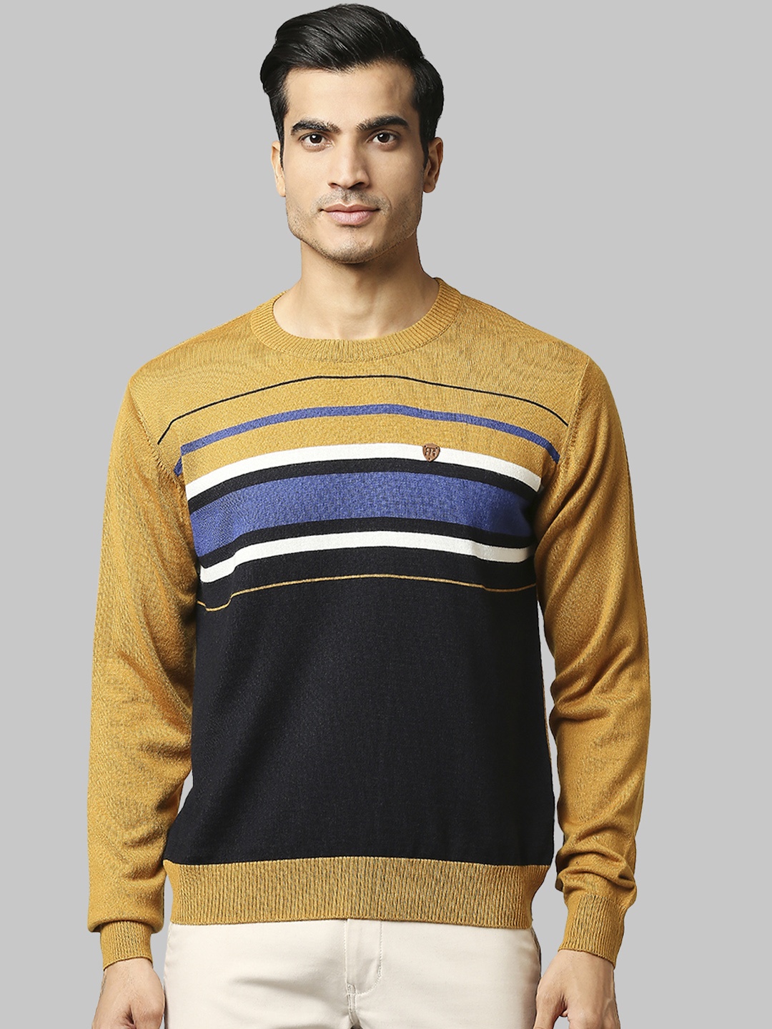 

Raymond Men Yellow & Black Striped Pullover