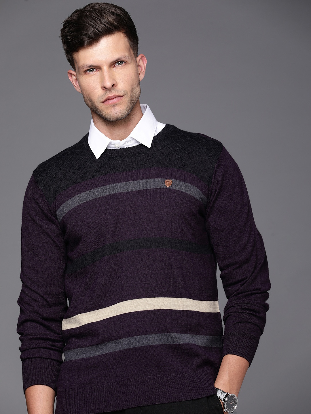 

Raymond Men Striped Pullover, Purple
