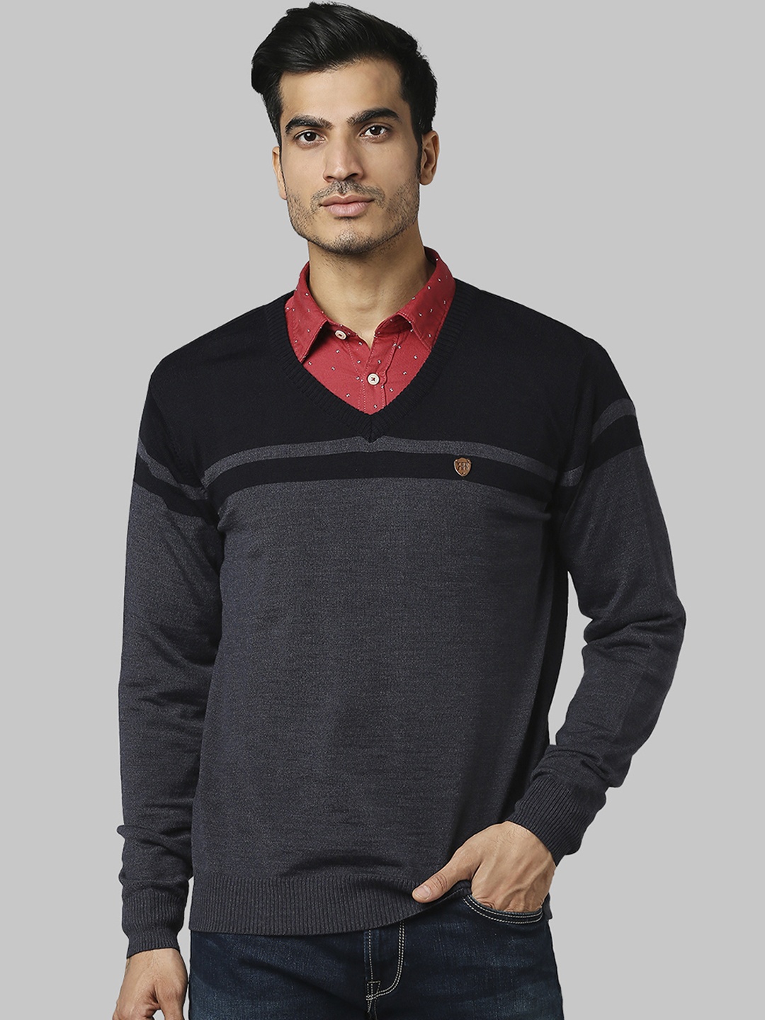 

Raymond Men Blue & Navy Blue Colourblocked V-Neck Pullover