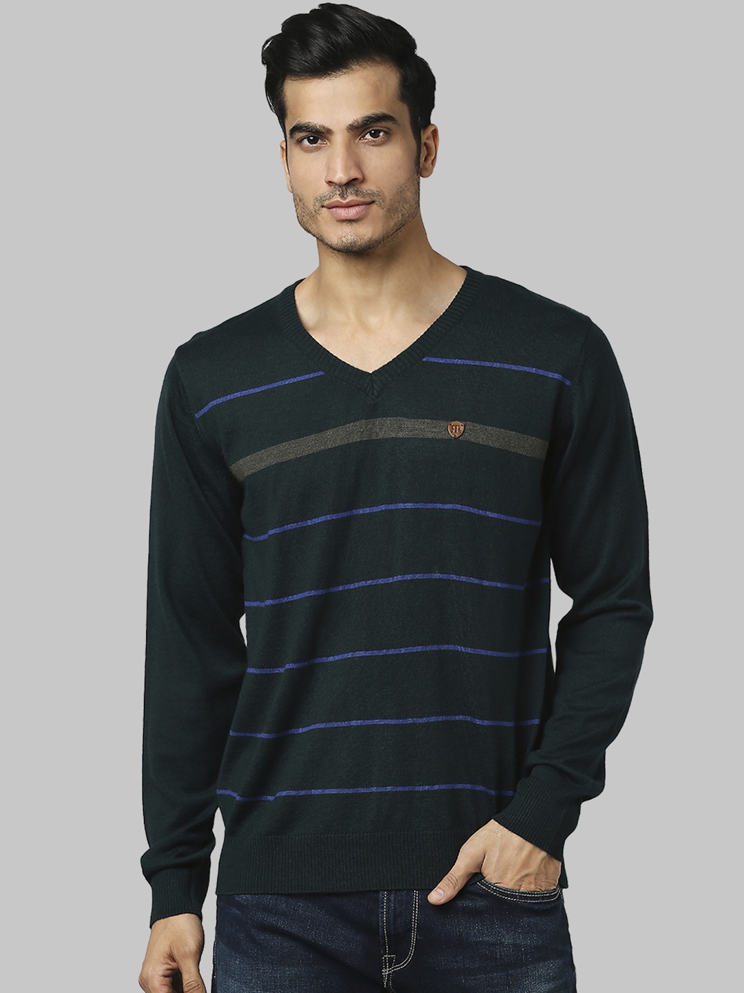 

Raymond Men Green Striped Printed Pullover