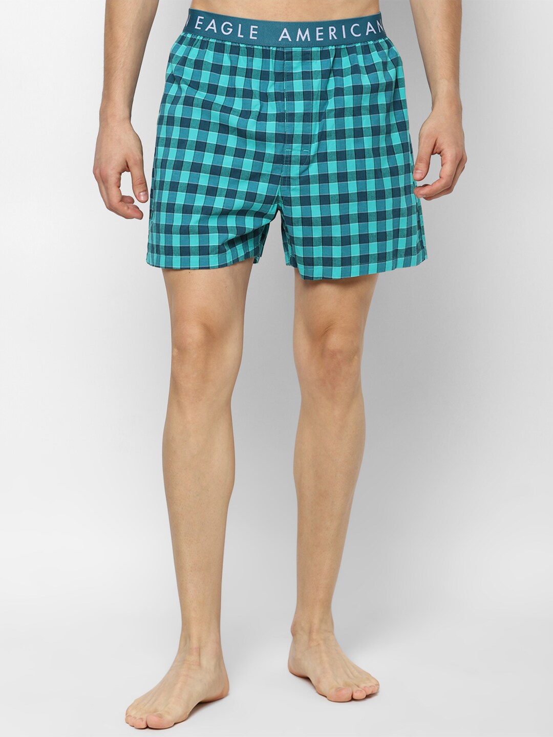 

AMERICAN EAGLE OUTFITTERS Men Sea Green Checked Boxers WEC0231406333
