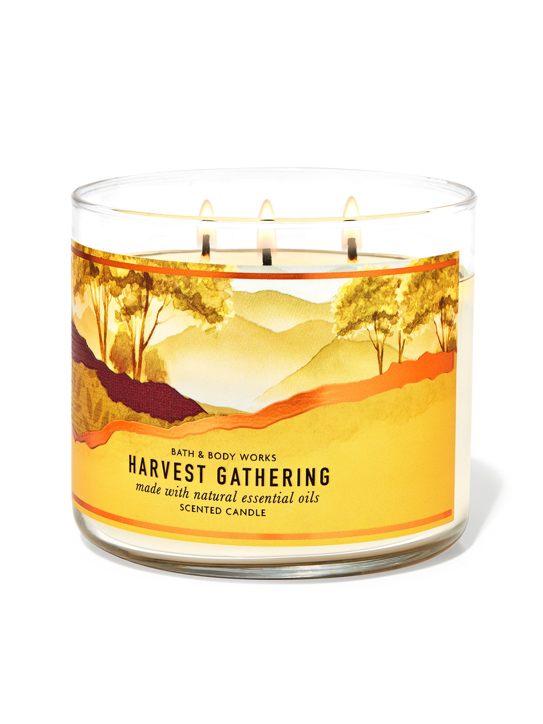 

Bath & Body Works Harvest Gathering 3-Wick Candle - 411 g, Yellow