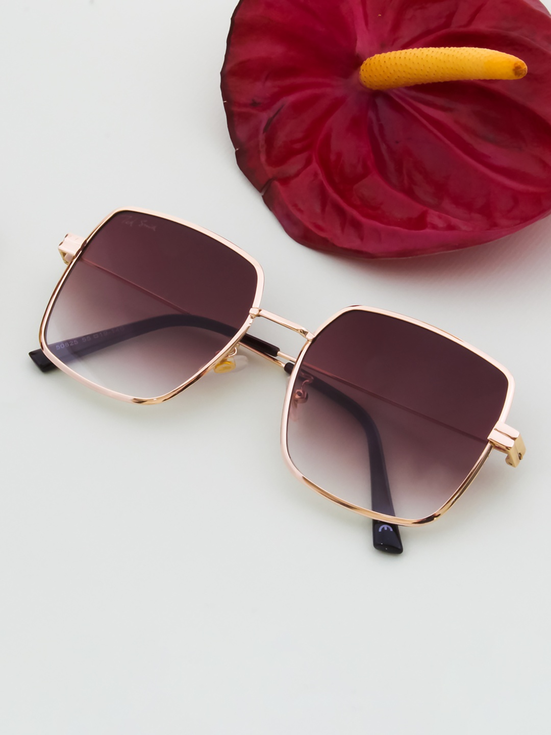 

Ted Smith Unisex Brown Lens & Gold-Toned Square Sunglasses TSQUARE_C3