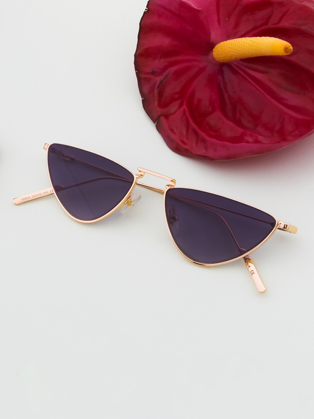 

Ted Smith Women Grey Lens & Gold-Toned Cateye Sunglasses INFLUENCER_C1