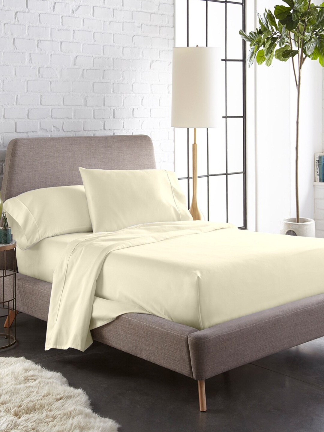 

BLUE DAHLIA Beige 1000 TC King Bedsheet with 2 Pillow Covers