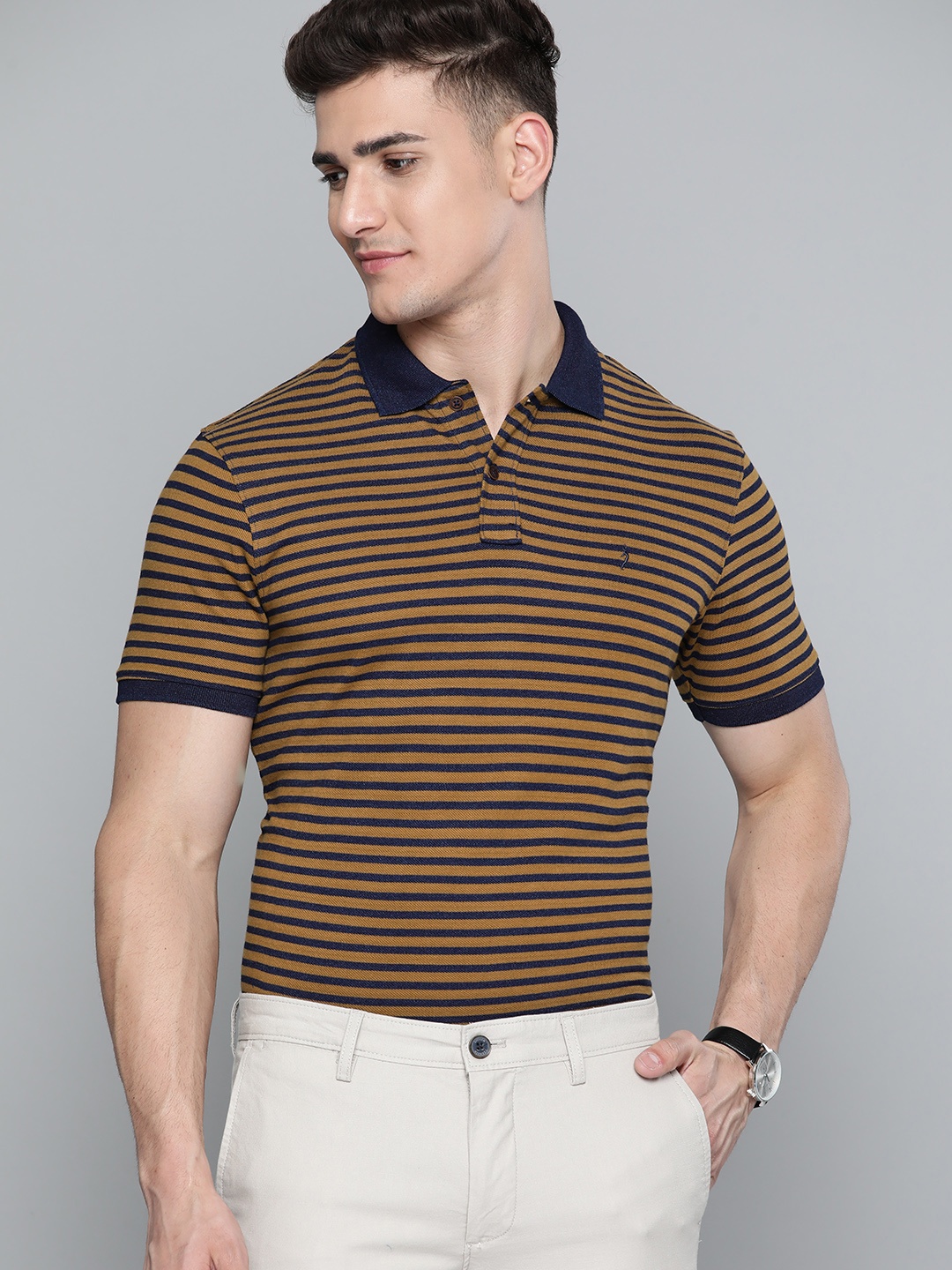 

Indian Terrain Men Olive Brown & Navy Blue Pure Cotton Striped Polo Collar T-shirt