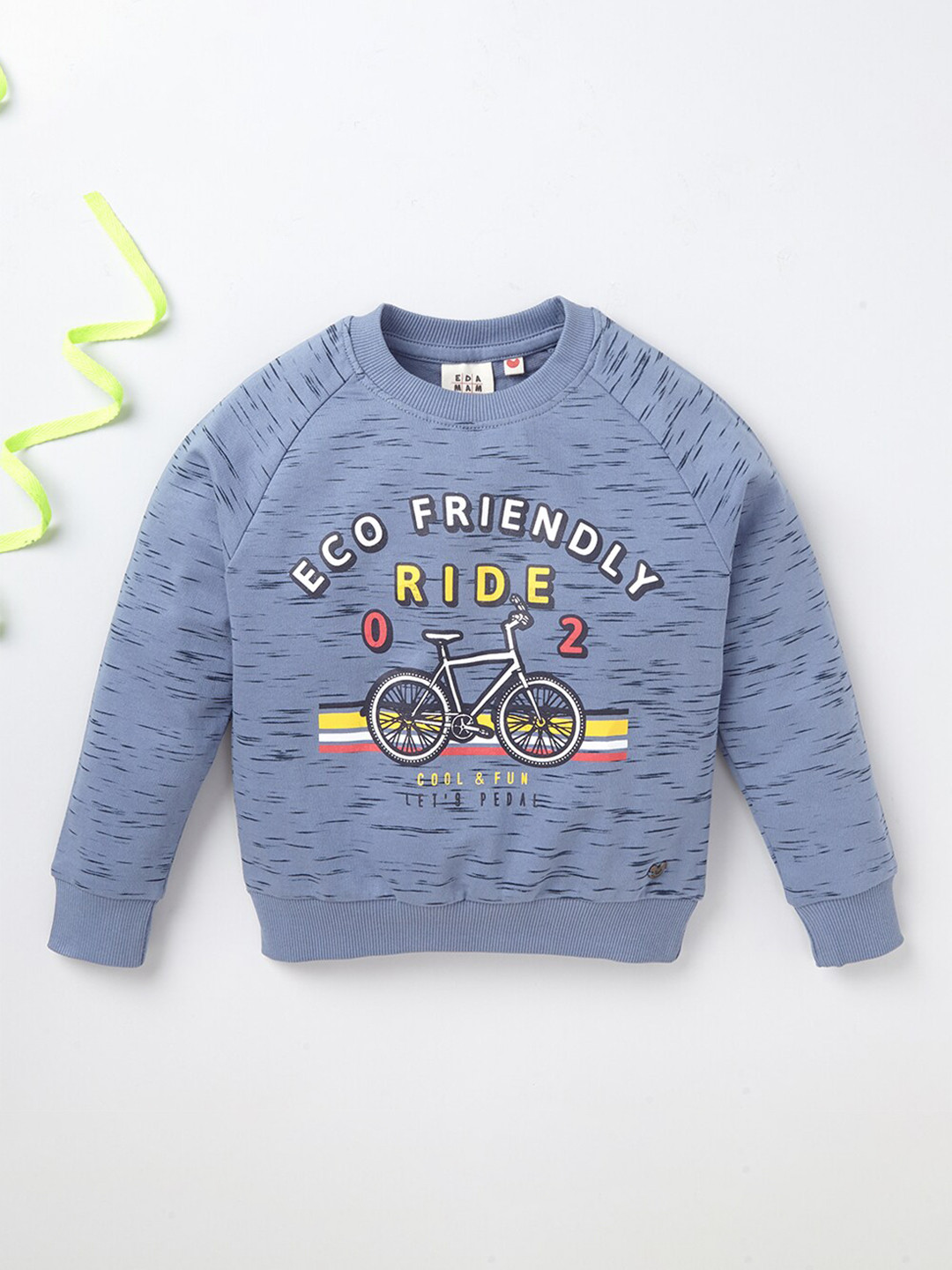 

Ed-a-Mamma Boys Blue Printed Sweatshirt