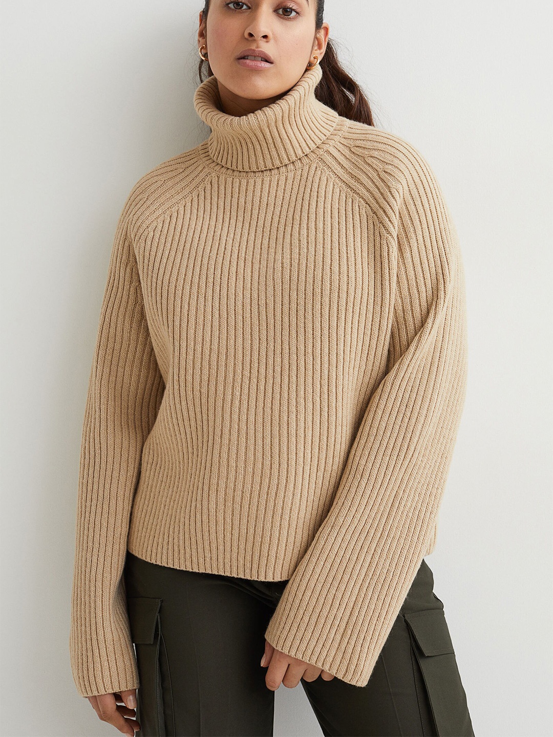 

H&M Women Beige Ribbed Polo-Neck Jumper