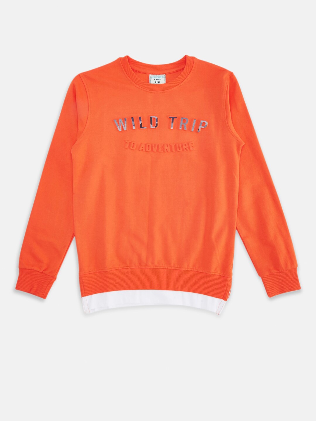 

Pantaloons Junior Boys Orange Pure Cotton Printed Sweatshirt