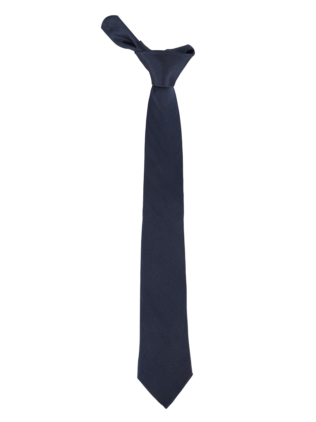 

Alvaro Castagnino Men Blue Skinny Tie