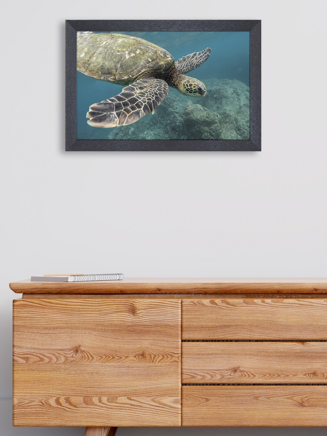 

RANDOM Multicoloured Turtle Painting, Multi