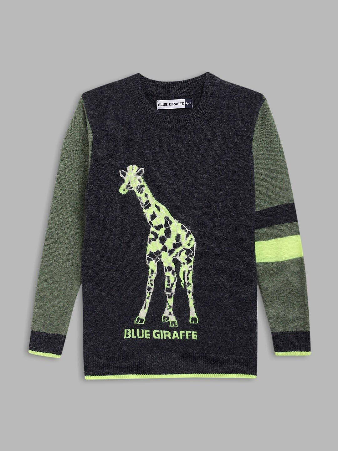 

Blue Giraffe Boys Blue & Green Printed Pullover