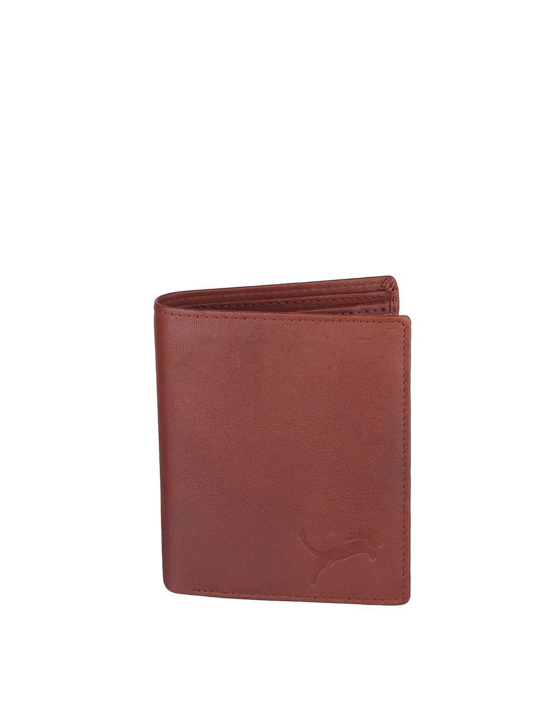 

WILD EDGE Men Tan Textured Leather Two Fold Wallet