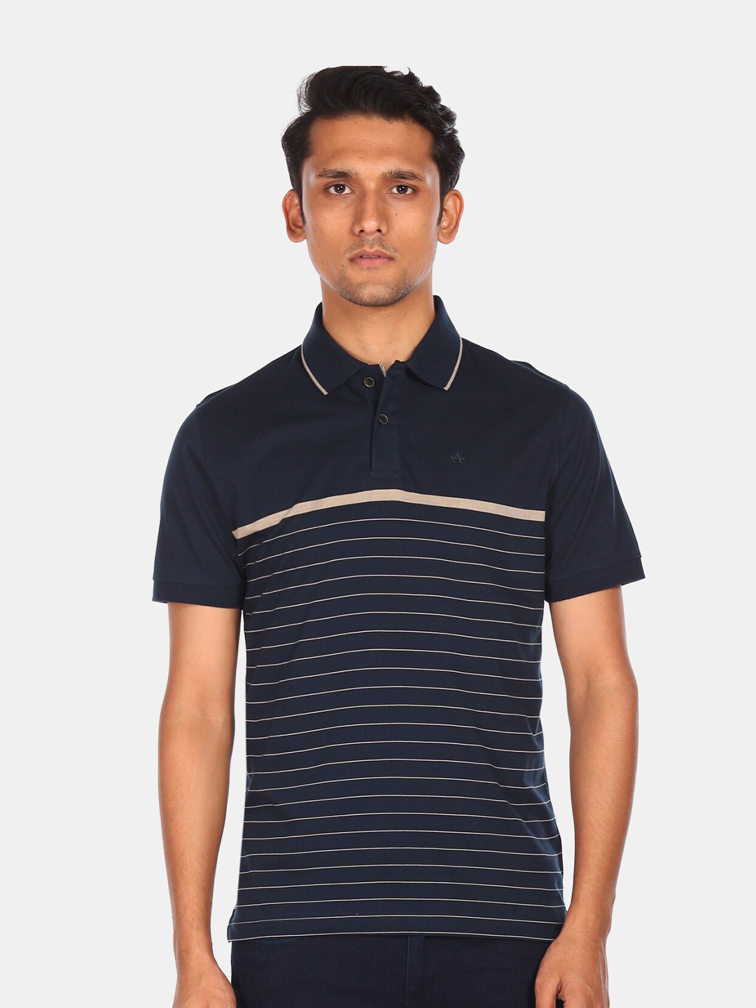 

Arrow Sport Men Blue Striped Polo Collar Pure Cotton T-shirt